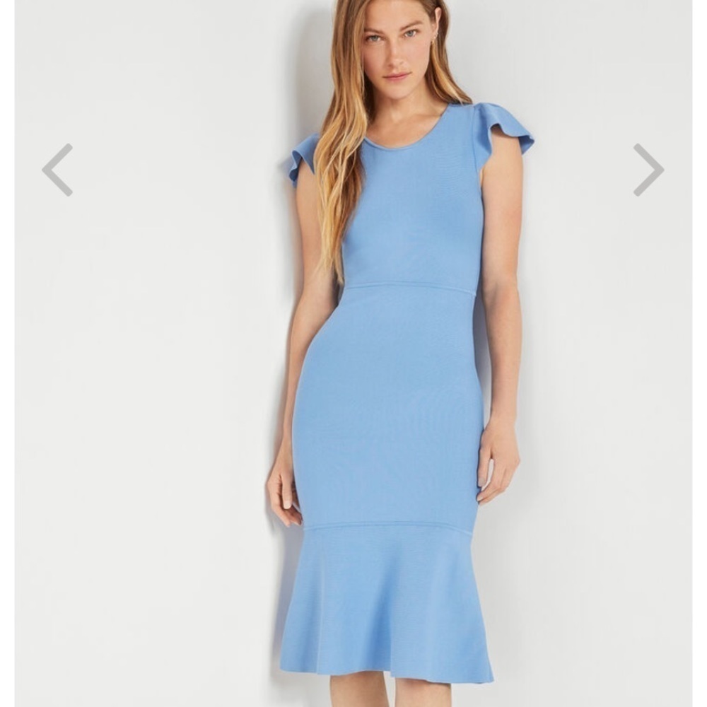BCBGMaxAzria Blue Ruffle Sleeve Dress